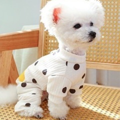 犬 服 Sサイズ 値段交渉OKの画像