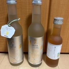 梅酒 3点セット