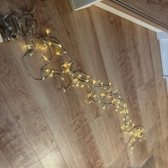 クリスマスツリー用 イルミネーションライトの画像