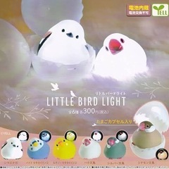リトルバードライト バラ売り シマエナガ セキセイインコ
