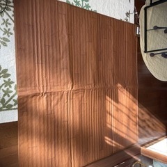 広電 / ホットカーペット