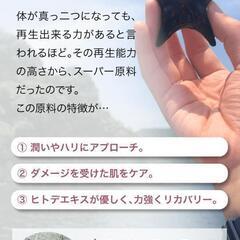 【💖Thankyou💖】ヒトデの石けん（小さな🉐あり）の画像
