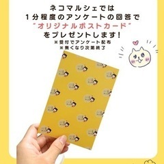 第一回　ネコマルシェ　猫だらけのマルシェ開催💕 − 福岡県