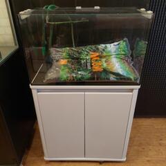 決まりました‼️】60cmオールガラス水槽セット