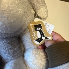 猫のチャーミの画像