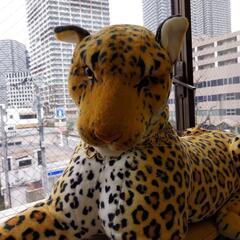 ☆ネコ好き必見☆お部屋を高く見せたい方に！トラの置き物の画像