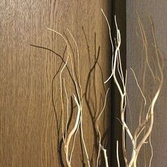 ★5/5(日)までの出品です◎★　【ナチュラル・インテリア】　三又　もしくは　雲竜柳　一束　174cmほど！の画像