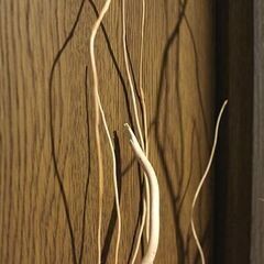 ★5/5(日)までの出品です◎★　【ナチュラル・インテリア】　三又　もしくは　雲竜柳　一束　174cmほど！の画像