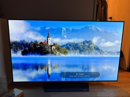 LG 55インチ 有機EL 4Kテレビ  OLED55B6P-J