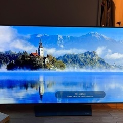LG 55インチ 有機EL 4Kテレビ  OLED55B6P-J