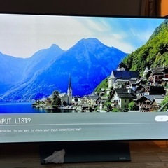 LG 55インチ 有機EL 4Kテレビ  OLED55B6P-Jの画像