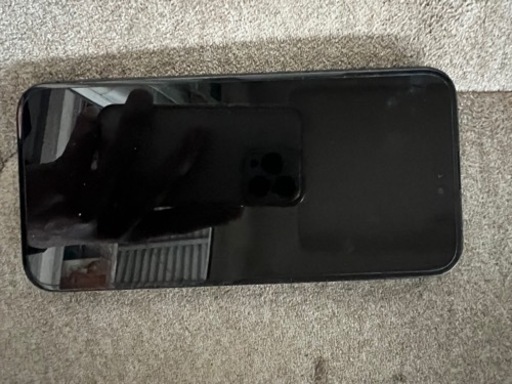 iPhone15Pro Max 256GB