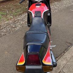 RG250Γ (RG250EW)2型 SBS東京限定カラー320台生産モデル劇レア！                                                      の画像