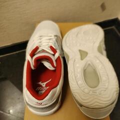 スニーカー(MIZUNO)  未使用箱付の画像