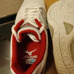 スニーカー(MIZUNO)  未使用箱付の画像