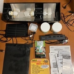 給餌用ステルスピンセット爬虫類の画像