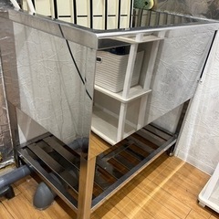 ドッグバス
