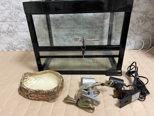 爬虫類ゲージ　45×30 おまけ付き