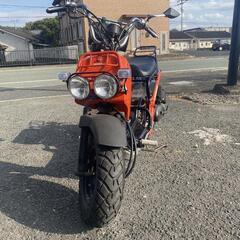 HONDA ZOOMER／50cc
