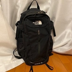 【THE NORTH FACE】GEMINI20