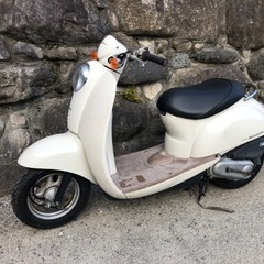 ホンダ AF55 クレアスクーピー CHF50(4) メトロポリタン