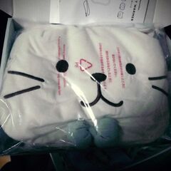あと少しあるので　無料で　パックもどうぞ　　湯たんぽ　稼働しません　ジャンク品ですがかわいいので無料でどうぞの画像
