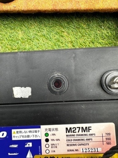 ミンコタマクサム②