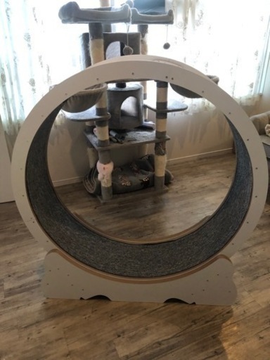 猫エクササイズホィール
