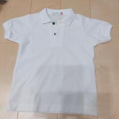 ポロシャツ（110）
