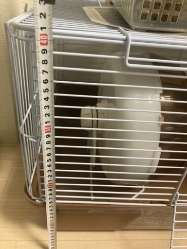 ハリネズミ飼育セット