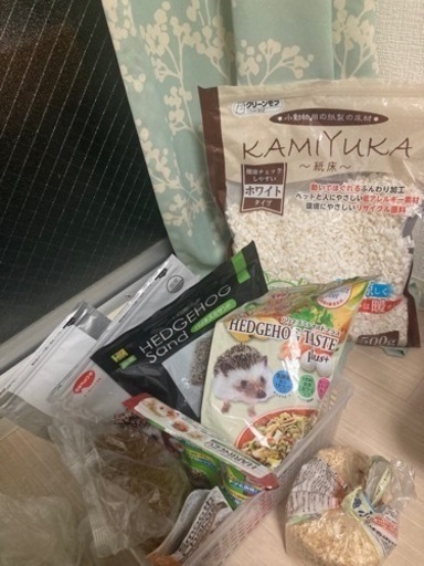 ハリネズミ飼育セット