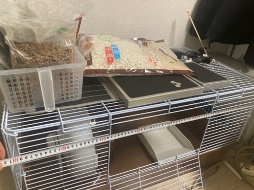 ハリネズミ飼育セット