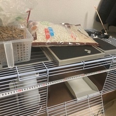 ハリネズミ飼育セット