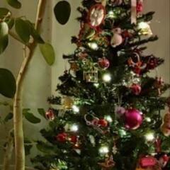 クリスマスツリー & LEDライトセット