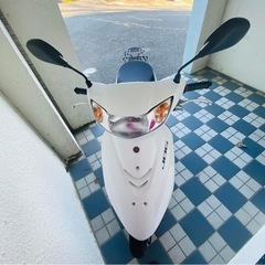 JOG-DXの画像