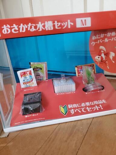 新品]DCMおさかな水槽セット M (Sakurabo16) ゆめみ野のその他の