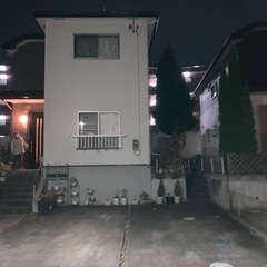 高木の伐採