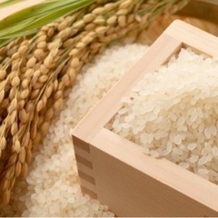 🌾お安く売ってくれる方お願いします💦🌾