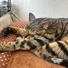 長く付き合っていけるお友達が欲しいです✨ - 友達