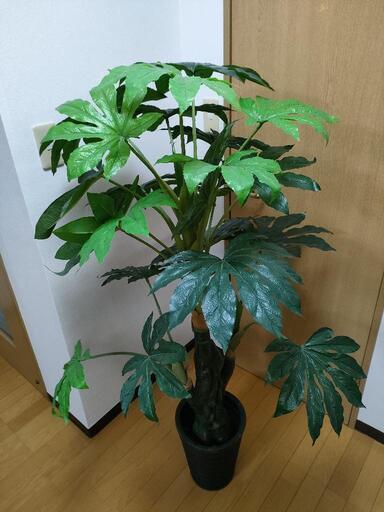 フェイクグリーン　高さ150センチ程度