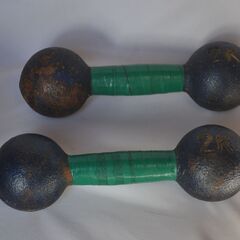 ダンベル　鉄アレイ　2kg×2セット　ダイエット