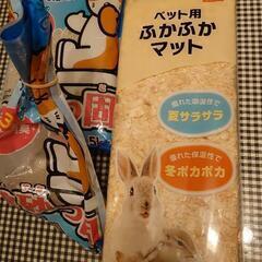 小動物 ハムスター