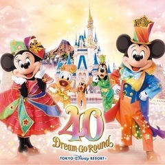 ディズニーランドかディズニーランド周辺のみへ一緒に回ってくれる方...