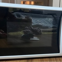 パナソニック電子レンジ