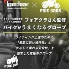 バイク大好きフォアグラさん　監修グローブ　XLの画像