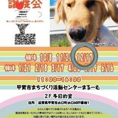 12月17日 保護犬　保護猫　譲渡会