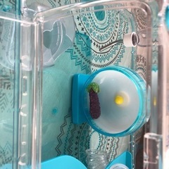 ハムスター飼育ケージフルセット　決まりました。の画像