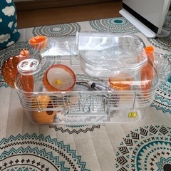 ハムスター飼育ケージセット現地受け取り条件です決まりました^ ^の画像
