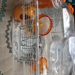 ハムスター飼育ケージセット現地受け取り条件です決まりました^ ^の画像