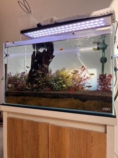 ADA 60センチ水槽　（まとめ購入でお値引きあり）